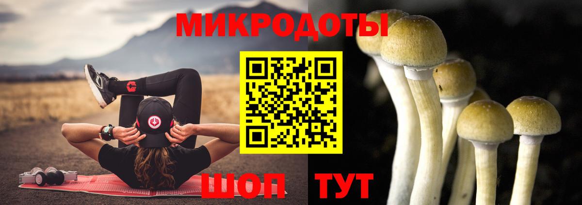 Псилоцибиновые грибы Psilocybe  Вход с VPN  Первоуральск 